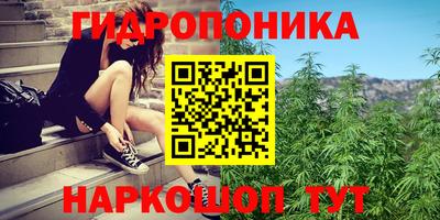 гидра Кунгур