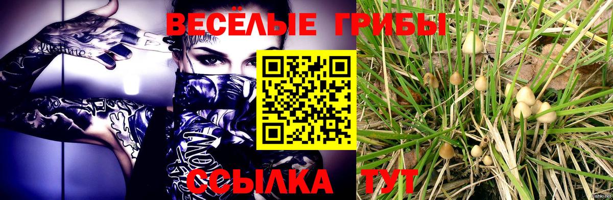 Гусиноозёрск  Галлюциногенные грибы мухоморы  Вход с VPN 